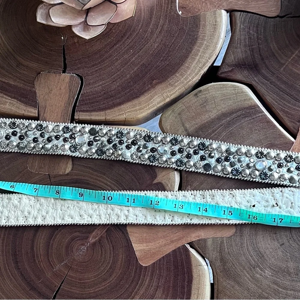 Seashell, jeweled, silver belt.